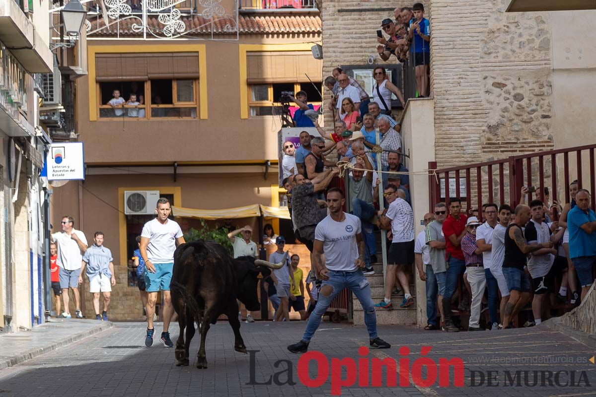 Séptimo encierro de las Fiestas de Moratalla