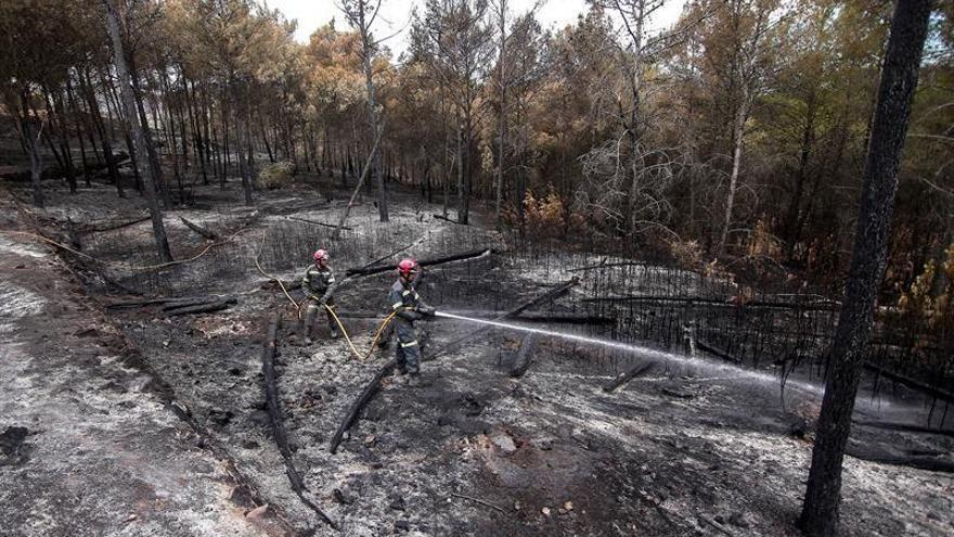 El fuego arrasa en España el equivalente a 107.000 campos de fútbol