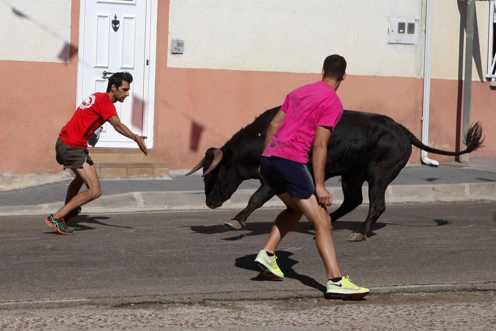 Encierro Urbano Bóveda de Toro