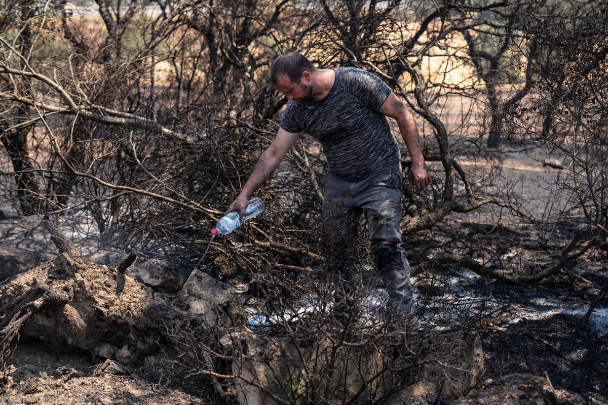 Un payés ayuda a combatir los focos que reaparecen en Guardiola, Lleida, este 2 de julio de 2025. El incendio en la zona ha provocado dos muertes y miles de evacuados.