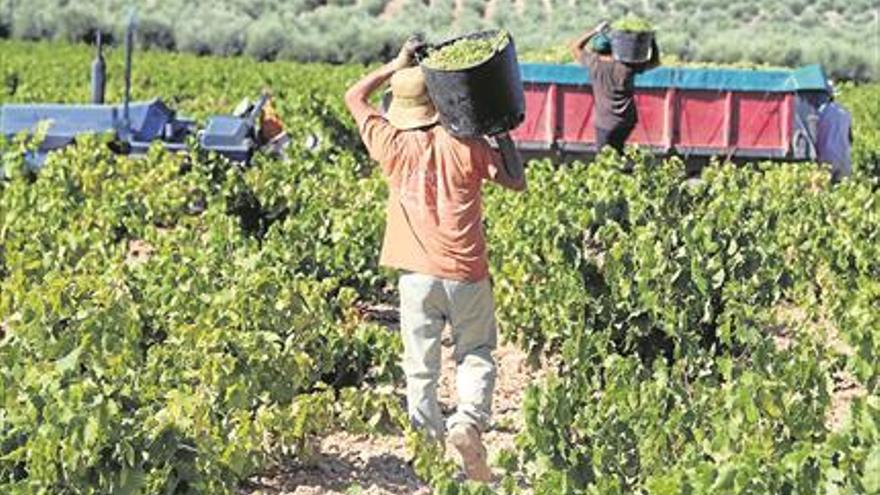 Solo 152 agricultores piden votar en marzo en las elecciones al campo en Extremadura