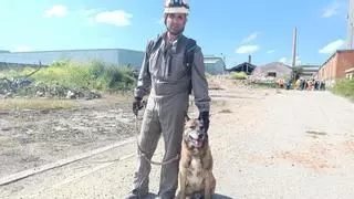 'Chuli', el perro asturiano que viajó a Libia y Turquía para participar en labores humanitarias de rescate