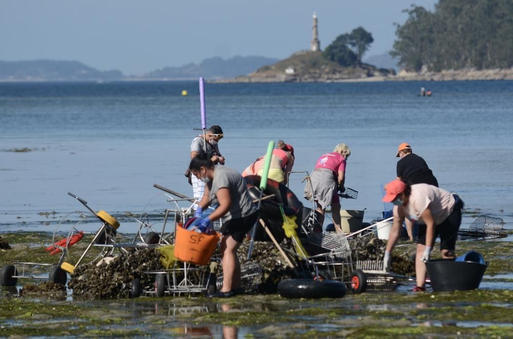 El marisqueo regresa a la ría de Pontevedra tras cuatro meses de parón