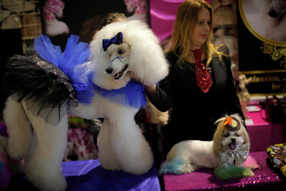 A woman shows dogs as she takes part in a ...