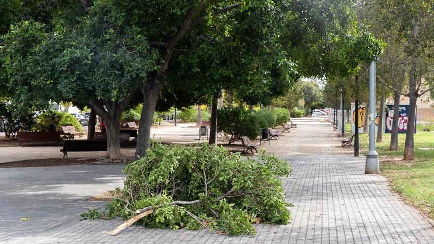 Temporal de viento en València