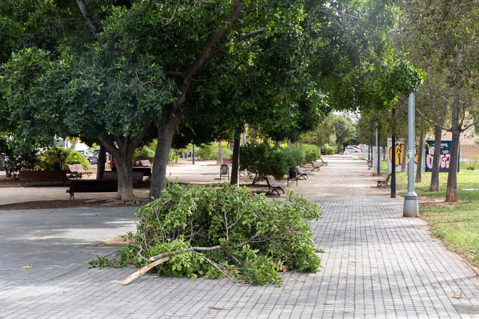 Temporal de viento en València