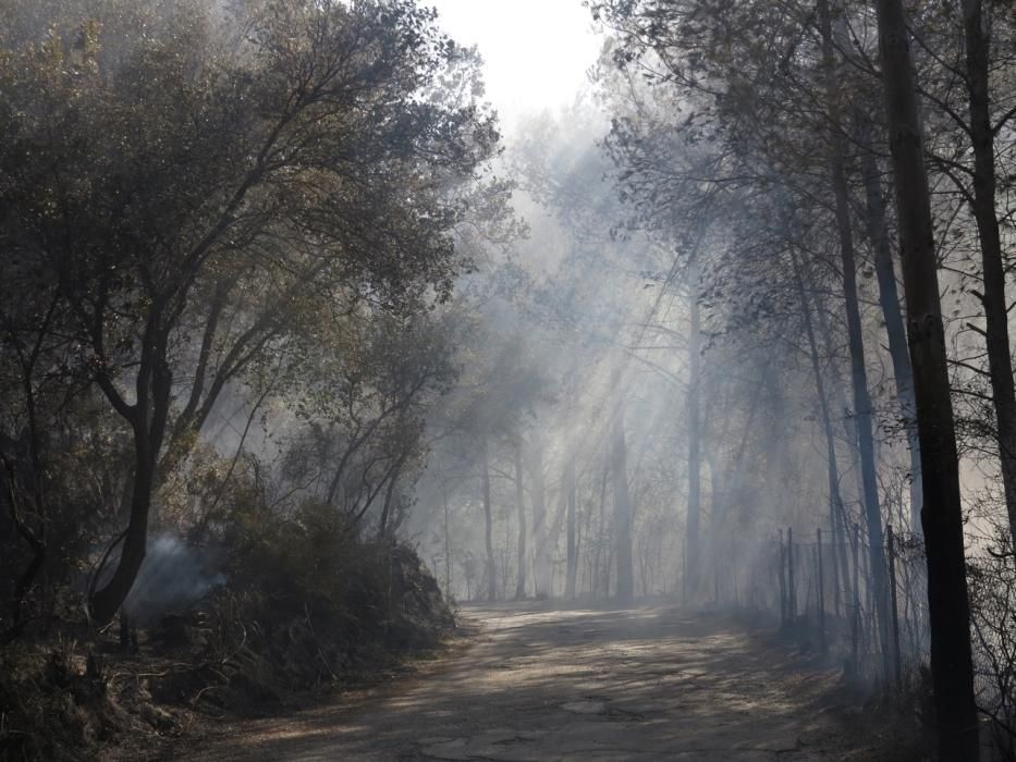 Waldbrand bei Puigpunyent