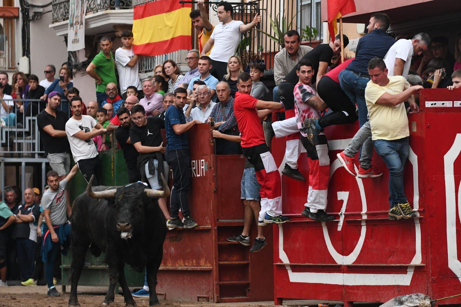 Exhibición de cuatro toros de Partida Resina en Onda