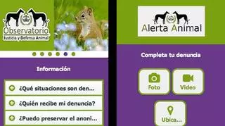 'Alerta animal', primera 'app' española para denunciar el maltrato animal