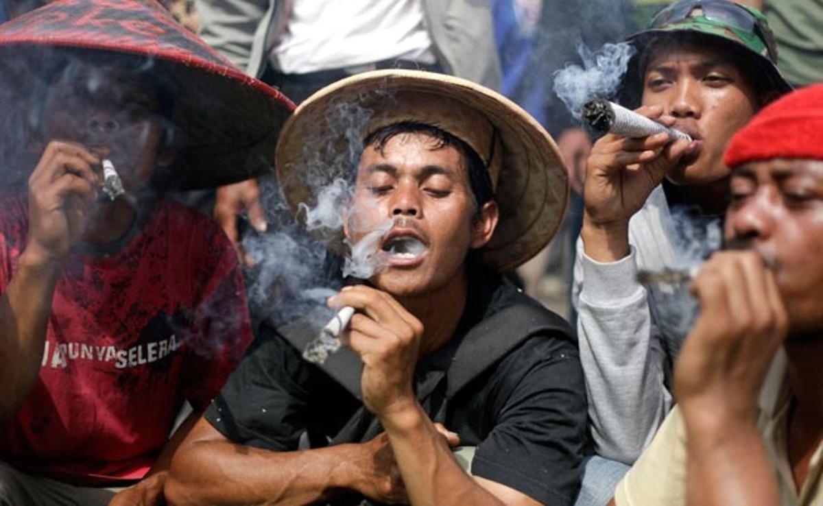 Productors de tabac protesten contra una llei antitabac davant el palau presidencial a Jakarta, Indonèsia.