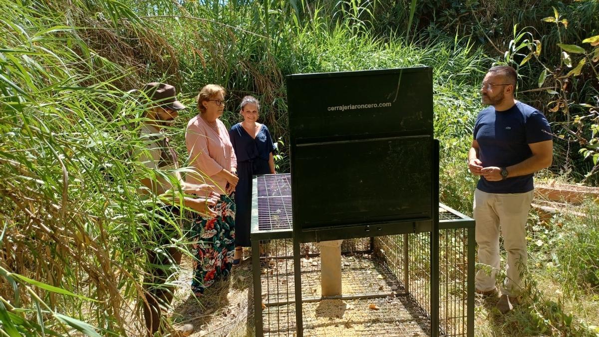 El Consorcio del Mijares amplía el programa de control de jabalíes con tres jaulas-trampa para reducir la sobrepoblación y evitar su impacto en la agricultura y la biodiversidad