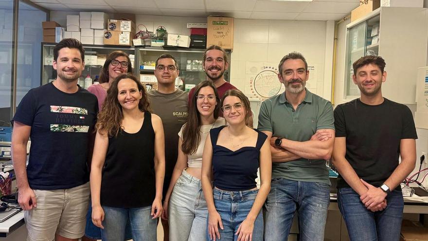 La UMH de Elche logra revertir parte del daño de la cirrosis
