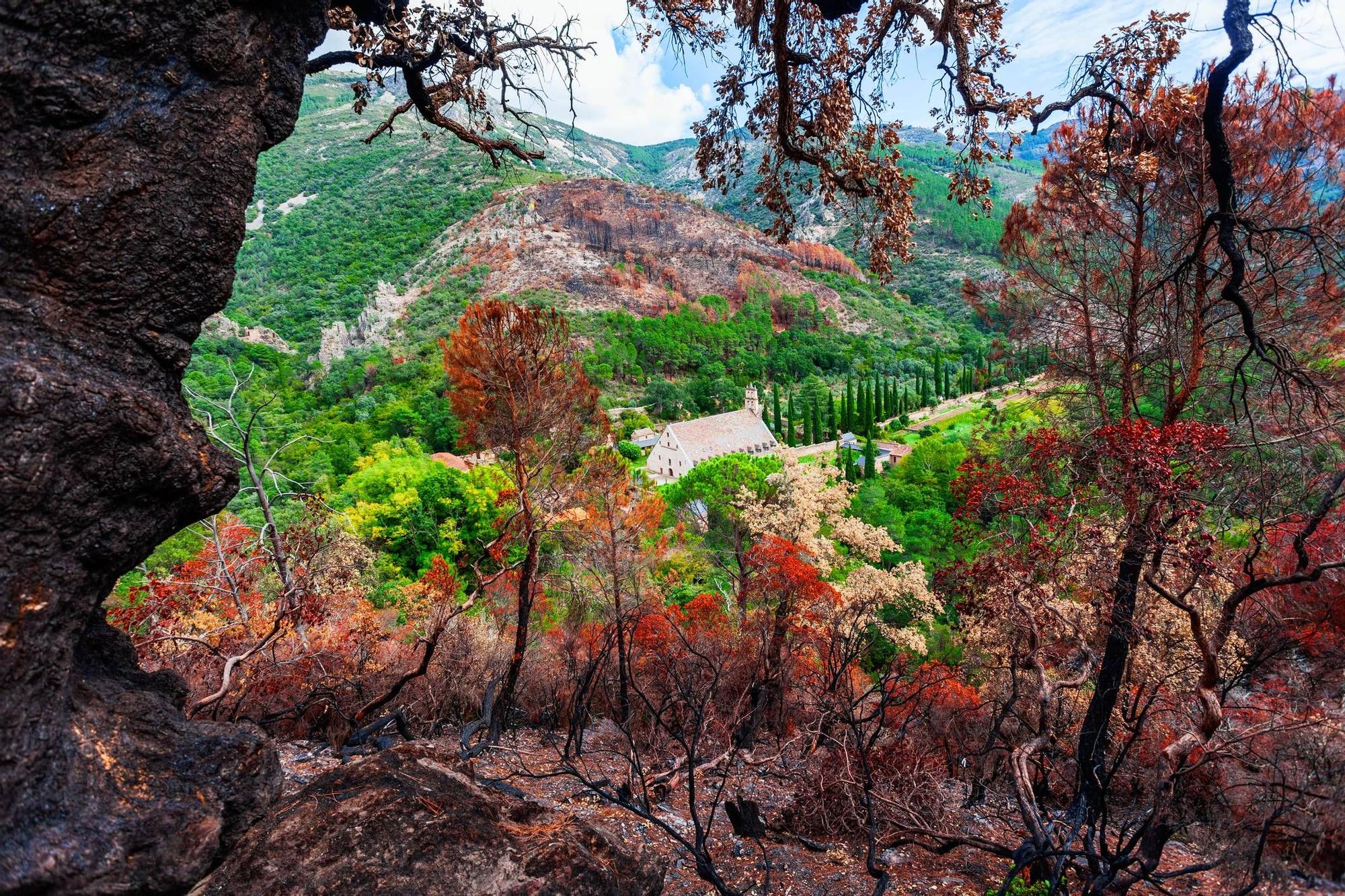 Descubre la Senda de los Mil Colores.