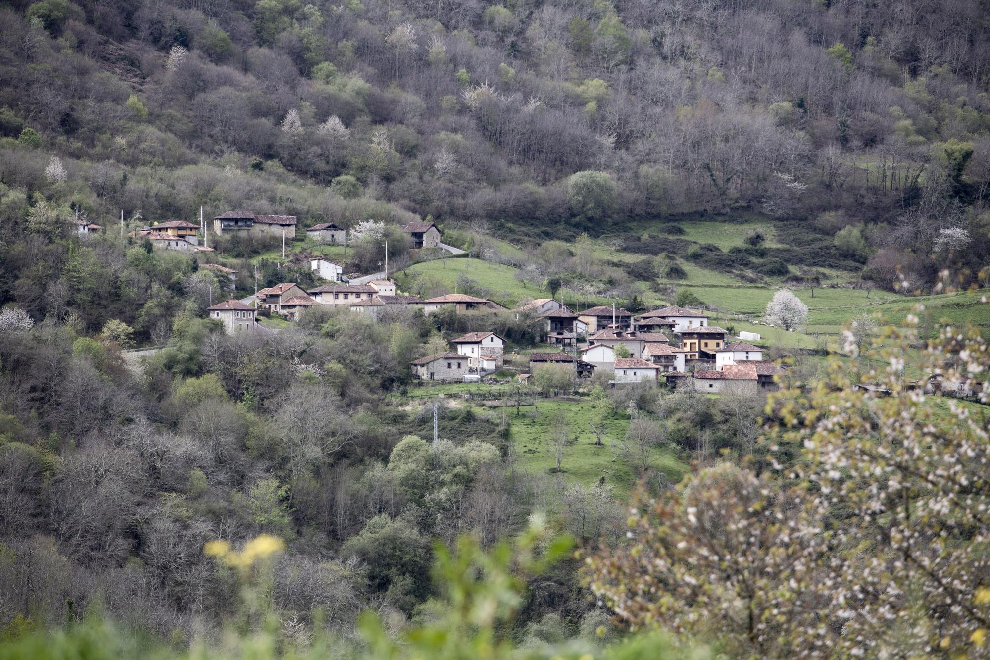 Asturianos en Amieva: un recorrido por el municipio
