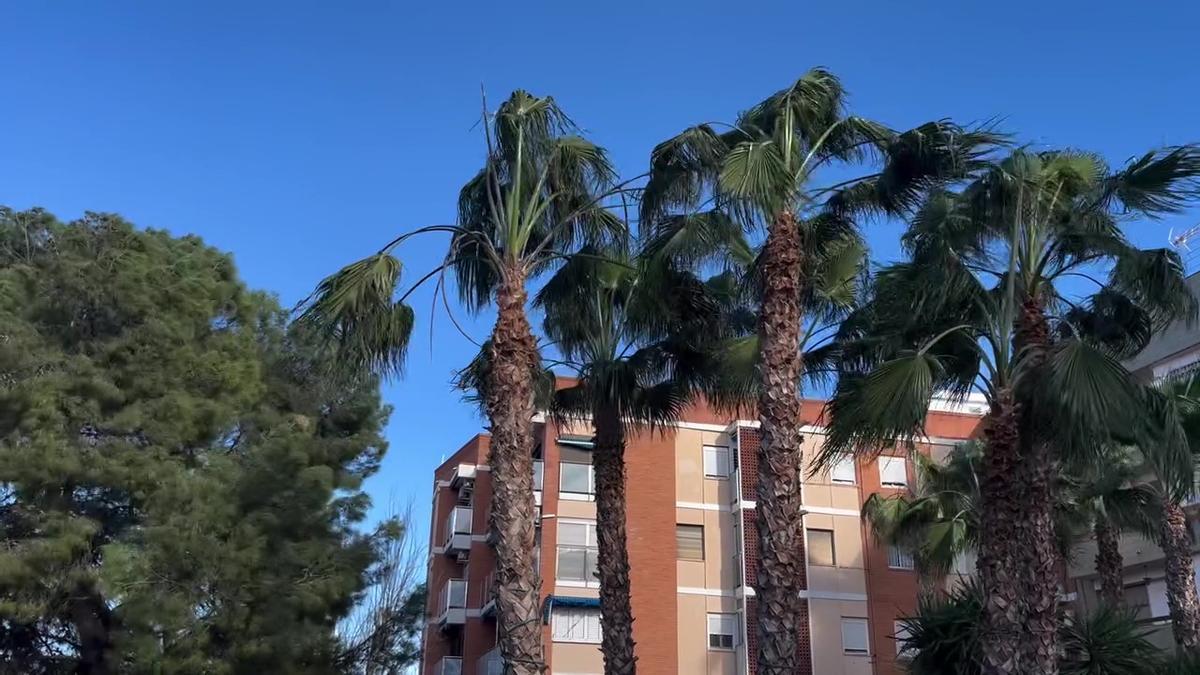 El viento obliga a cerrar los parques de Manises