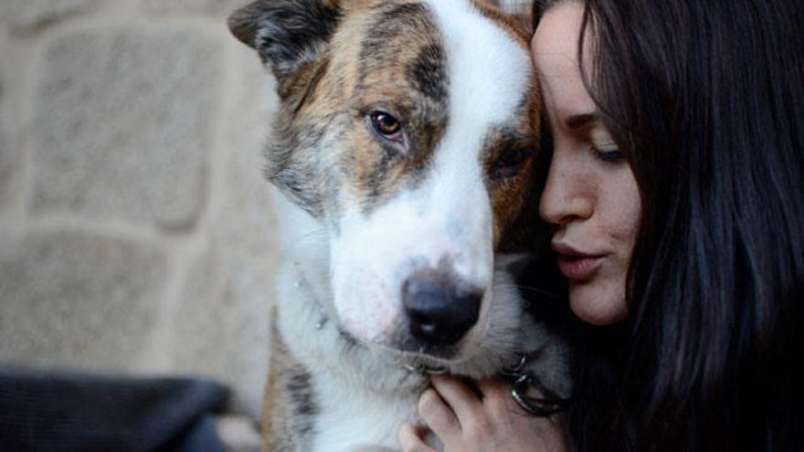 La foto de Brais Lorenzo, &quot;Amores Perros&quot;