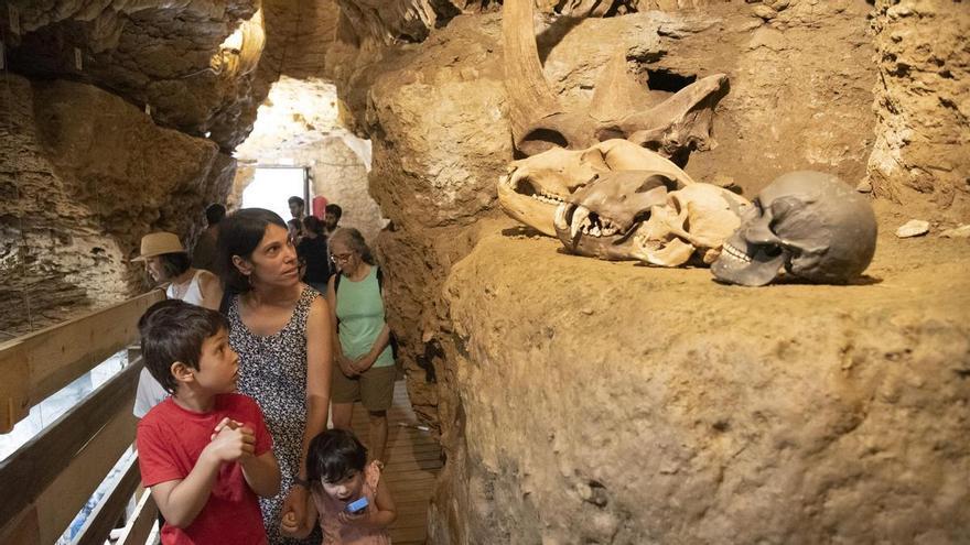 El Museu de Moià i les Coves del Toll baten el rècord històric amb gairebé 35.000 visitants el 2025