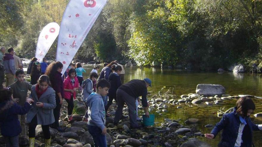 Los escolares de Laviana sueltan 10.000 alevines de trucha en el Nalón