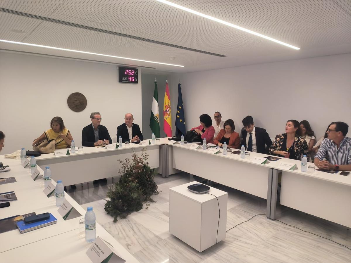 Reunión del  Consejo de Coordinación del Sitio de los Dólmenes de Antequera.