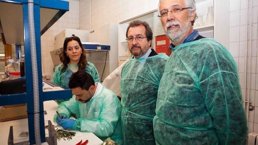 Visita de técnicos del Ministerio al laboratorio de Sanidad Vegetal del Govern.