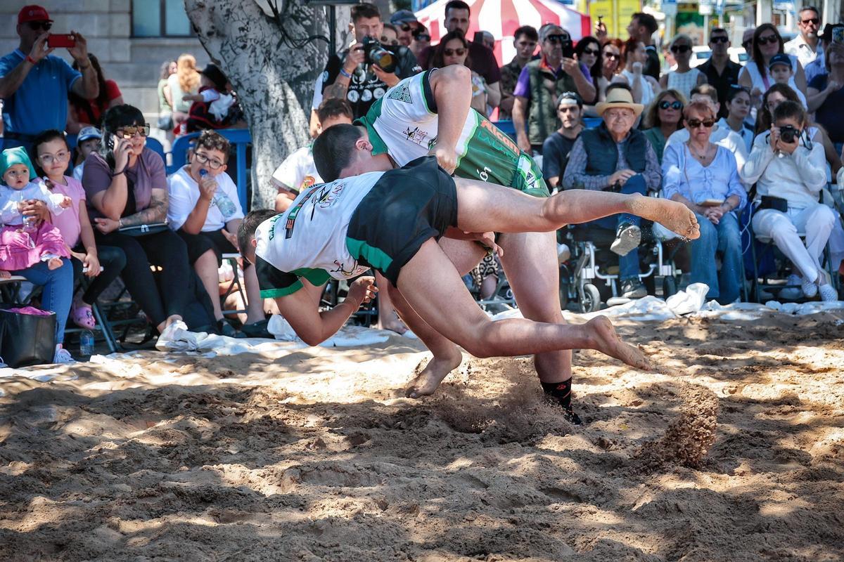 Santa Cruz vive el Día de Canarias por todo lo alto