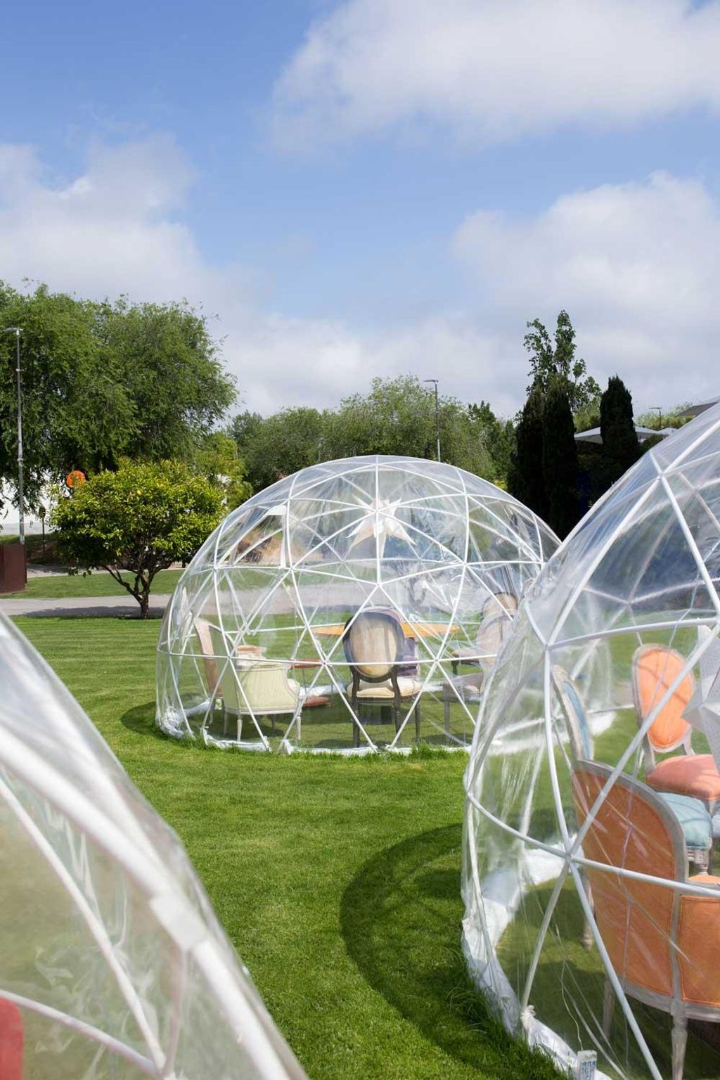 Las burbujas están colocadas en el jardín. 