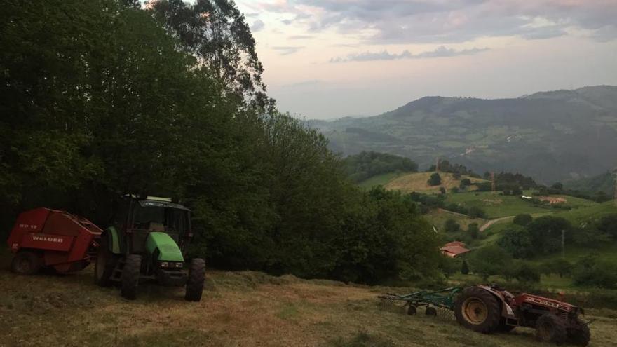 Muere un vecino de Pravia al quedar atrapado bajo un tractor en Salas