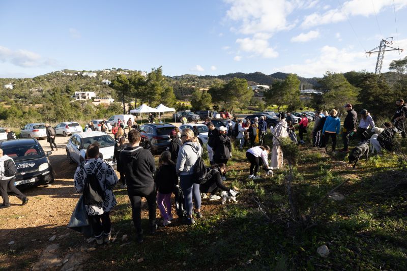 Todas las imágenes de la limpieza de sa Talaia
