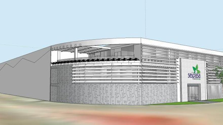 Proyecto de las nuevas instalaciones en l’Alcudia | LEVANTE - EMV