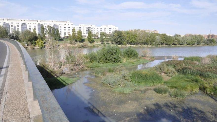 El Congreso acuerda elaborar un plan de gestión de sedimentos en el Ebro