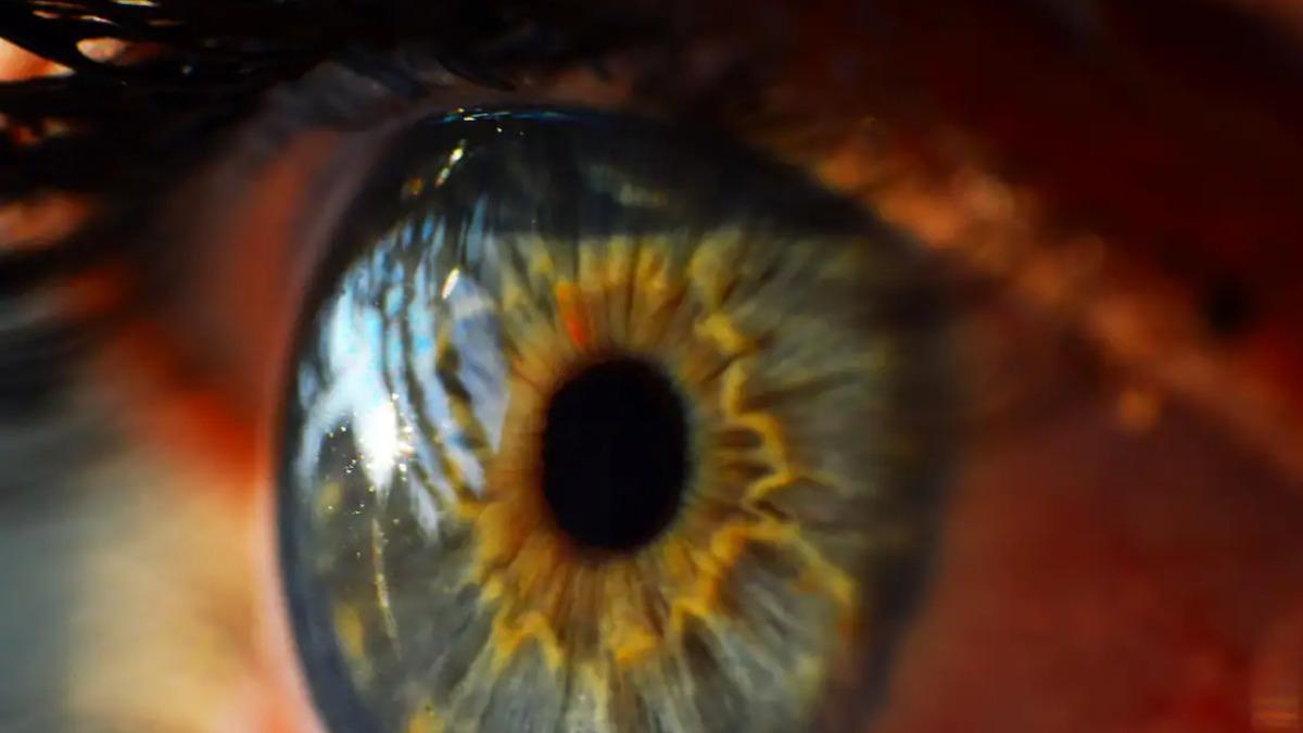 Ensayo para estimular las retinas