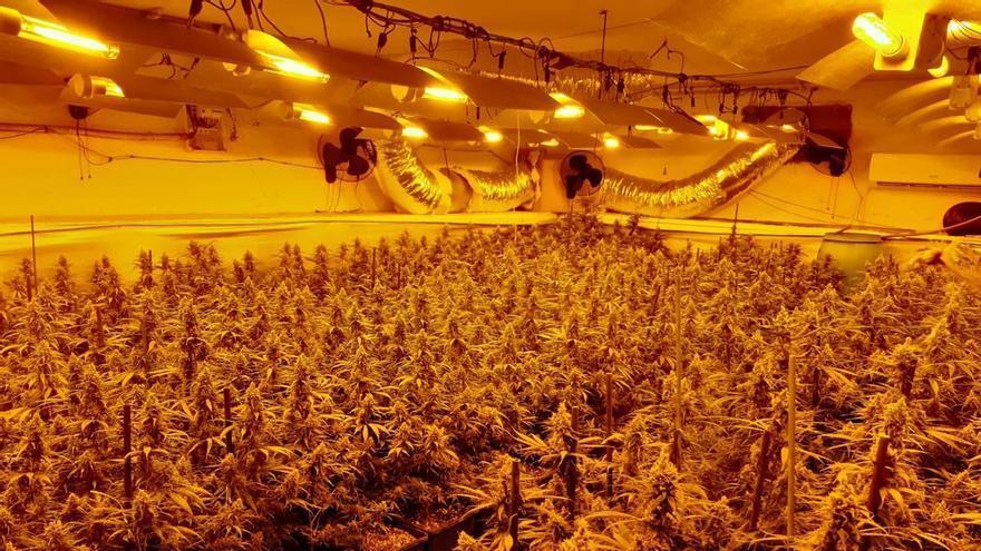 Así son las plantaciones 'indoor' de marihuana detectadas en Aragón: naves industriales, casas cueva y enganches eléctricos ilegales