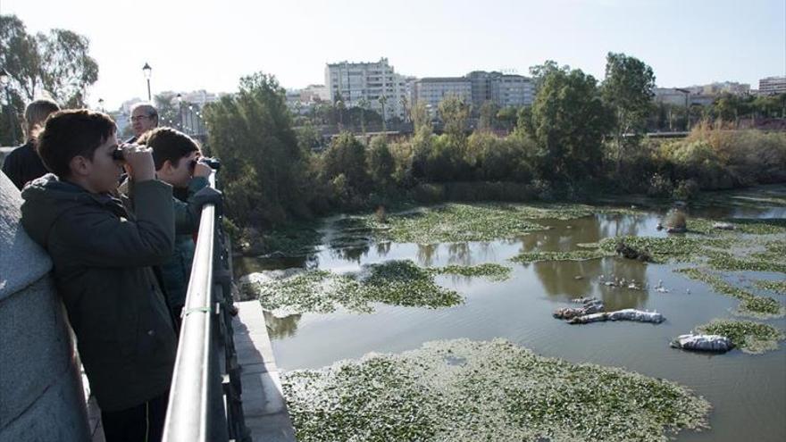 Turismo propone rutas ornitológicas, música, arte y una visita guiada