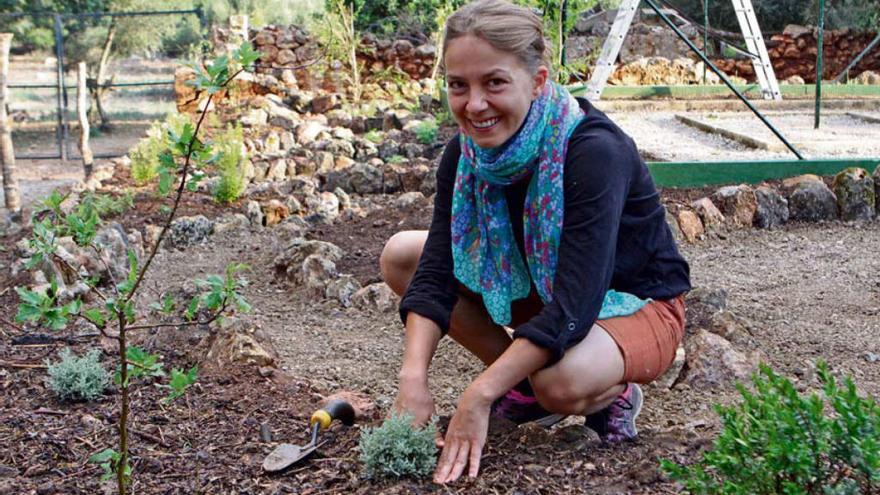 Nora Müller, Mitarbeiterin der Stiftung, beim Pflanzen eines Grauen Heiligenkrauts für die Bienen.