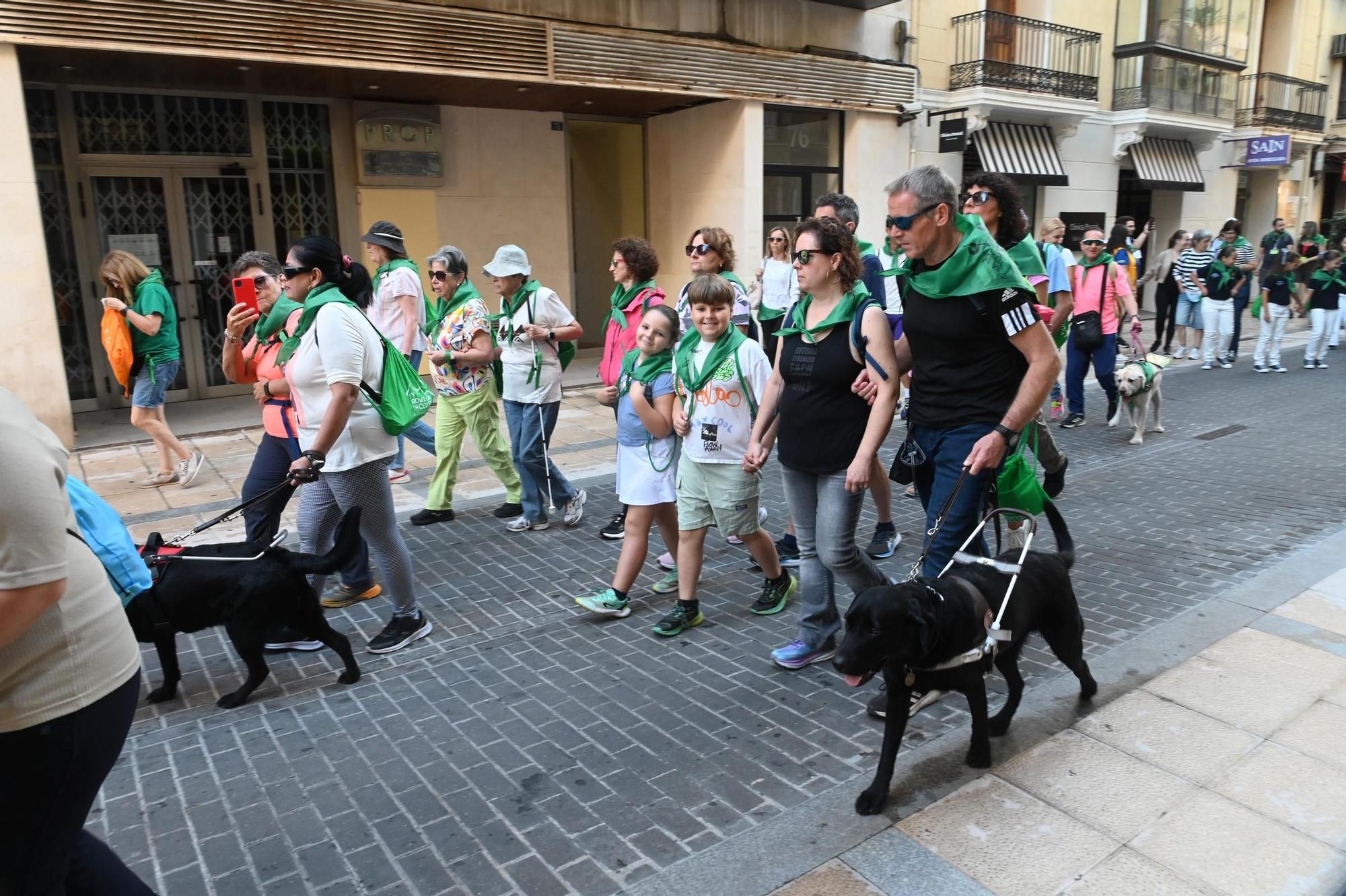 Las mejores imágenes de una romería inclusiva única en España celebrada en Castelló