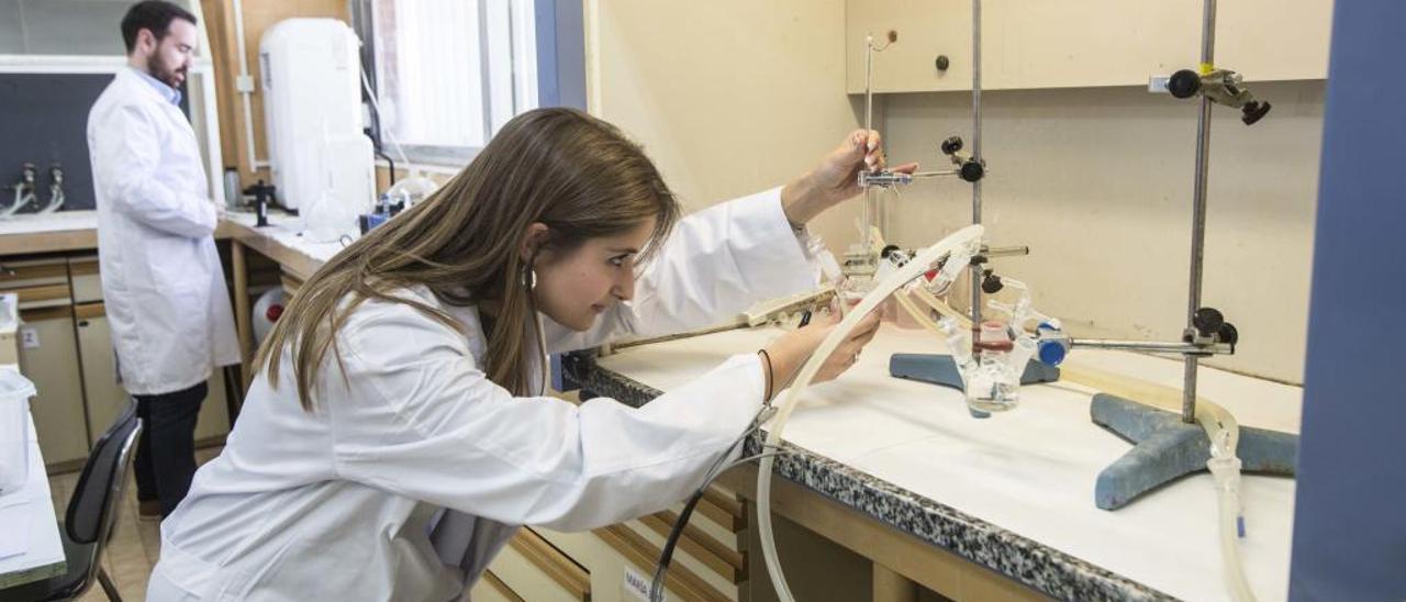 Investigadores de la Facultad de Ciencias trabajando en la Universidad de Alicante.