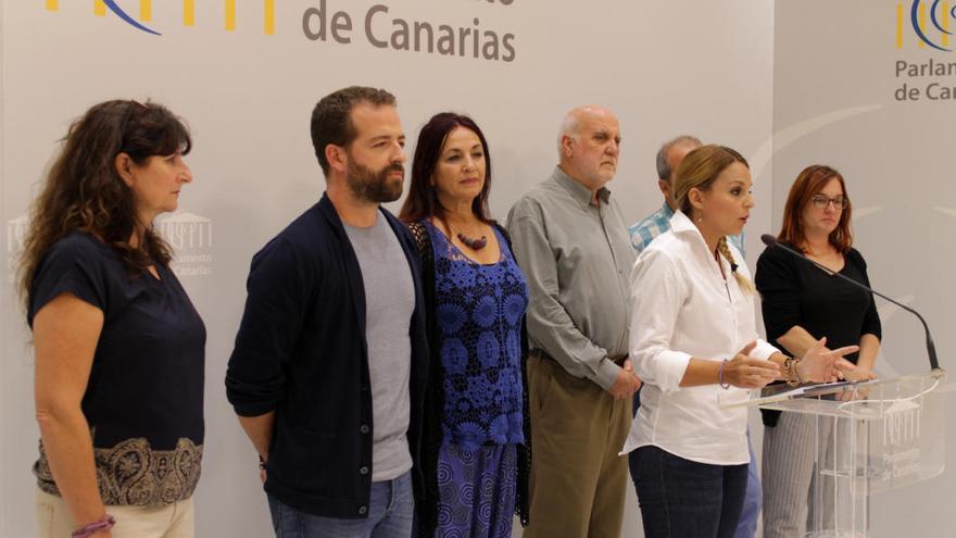 Noemí Santana, secretaria general de Podemos, en una rueda de prensa en el Parlamento de Canarias.