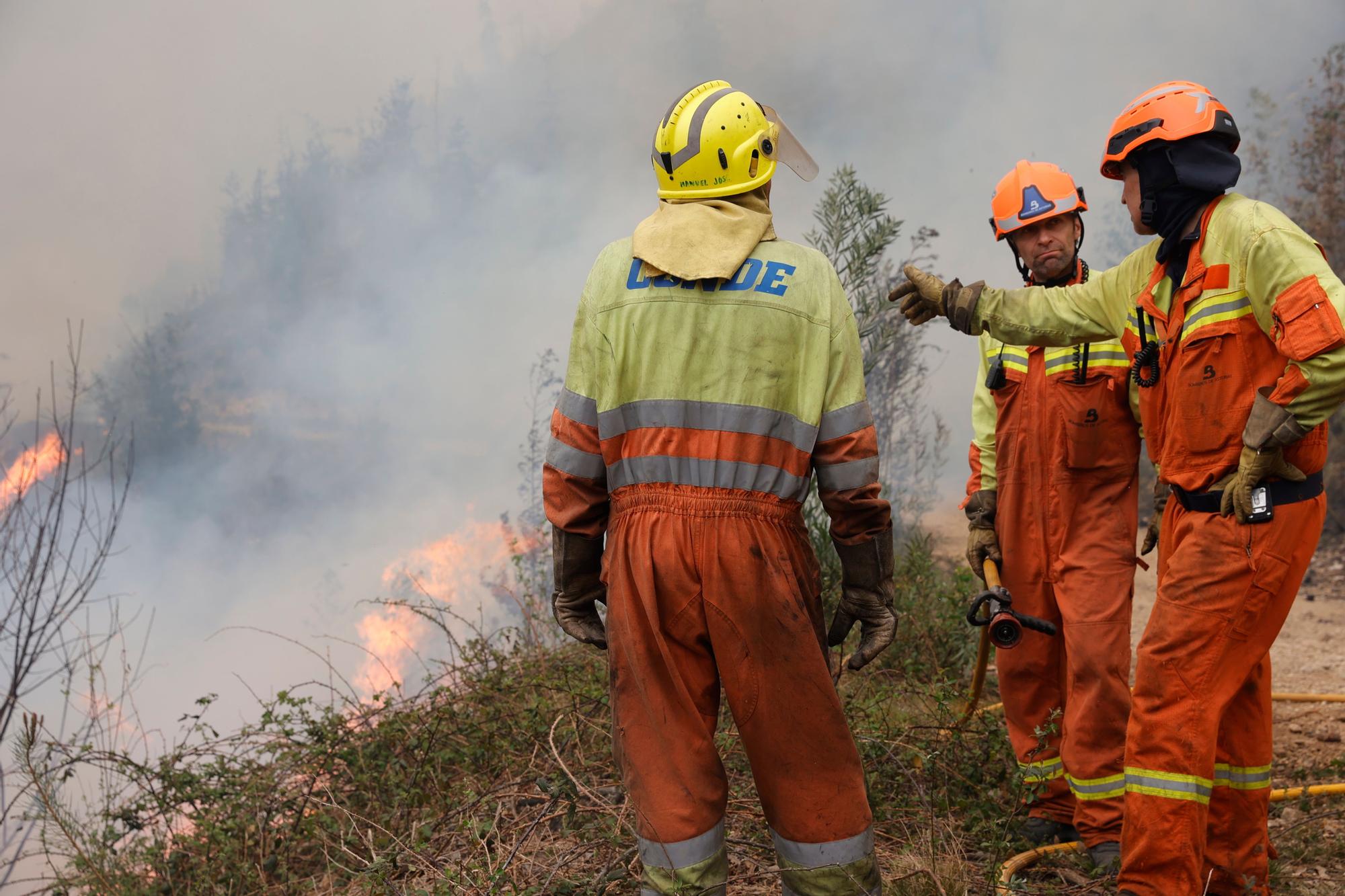 Dura lucha contra los incendios de Tineo y Valdés