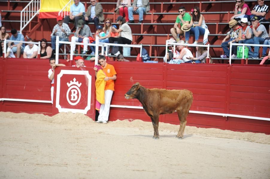 Becerrada, encierros y vaca de la sangría