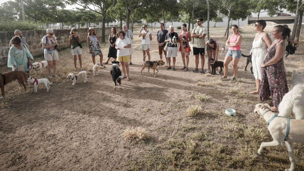 Concentración de mascotas en el parque de Son Parera