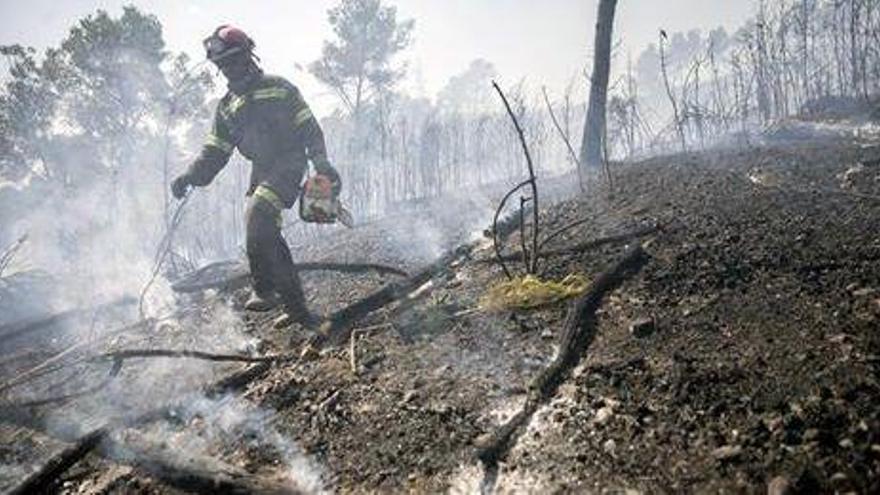 El Consell admite un «tapón» en los trámites de los propietarios para limpiar los montes