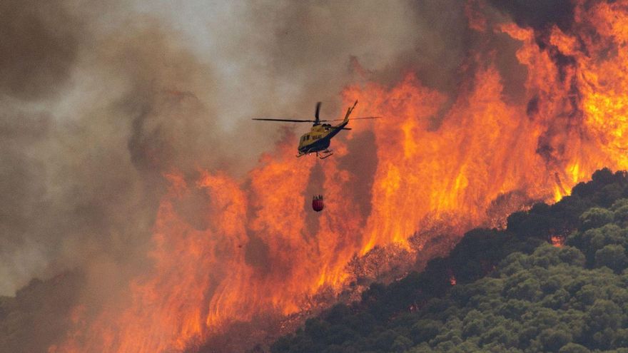 Las lluvias de marzo multiplican para este verano el riesgo de incendios