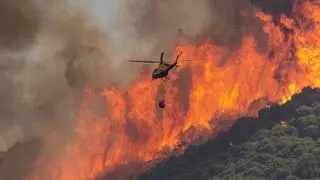 Las lluvias de marzo multiplican para este verano el riesgo de incendios