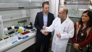El episodio tóxico primaveral ya afecta a todas las rías