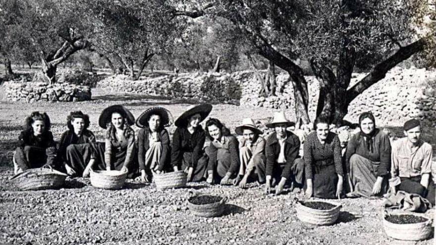 Las ‘collidores’ de la Serra de Tramuntana. | 