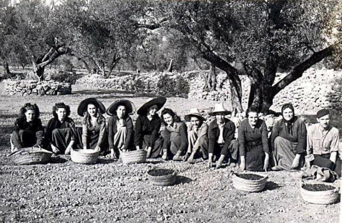 Las ‘collidores’ de la Serra de Tramuntana. |