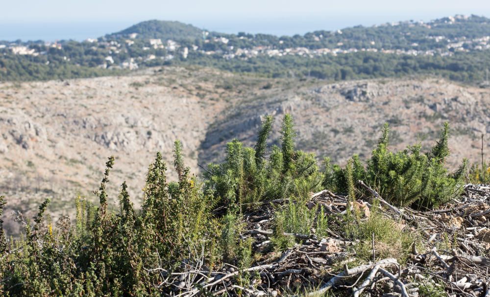 El Gobierno finaliza los trabajos de restauración en el paraje de la Granadella