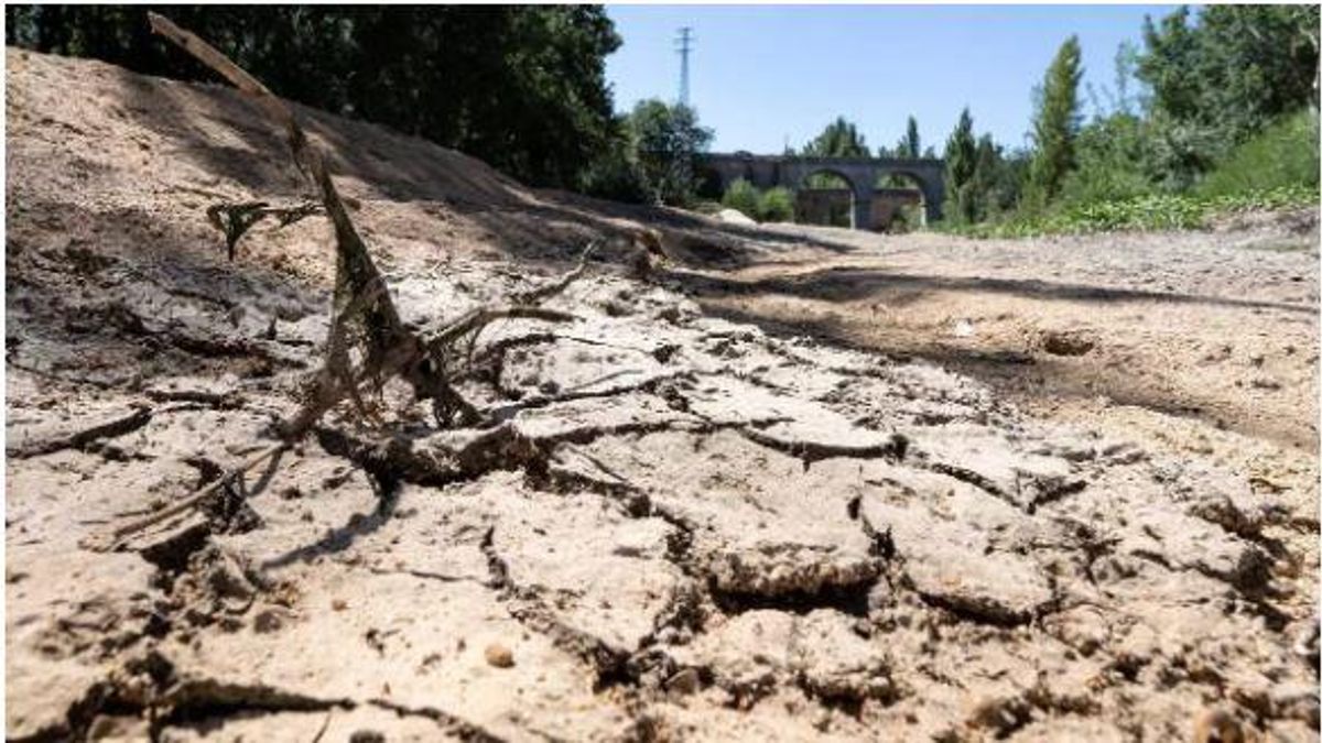 Imatge de sequera produïda pel canvi climàtic.