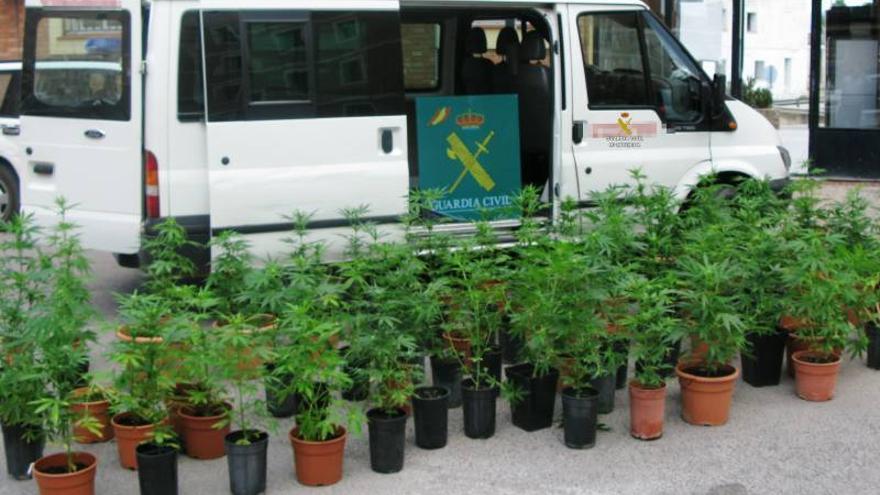 Tres detenidos por transportar en una furgoneta 84 plantas de marihuana en Benicarló