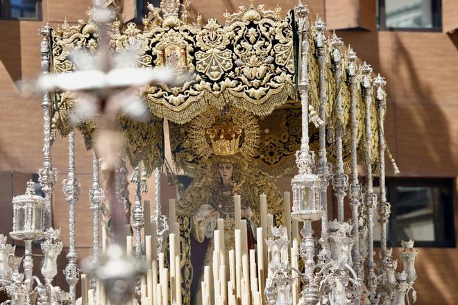 Semana Santa de Málaga 2026 | Domingo de Ramos: Lágrimas y Favores